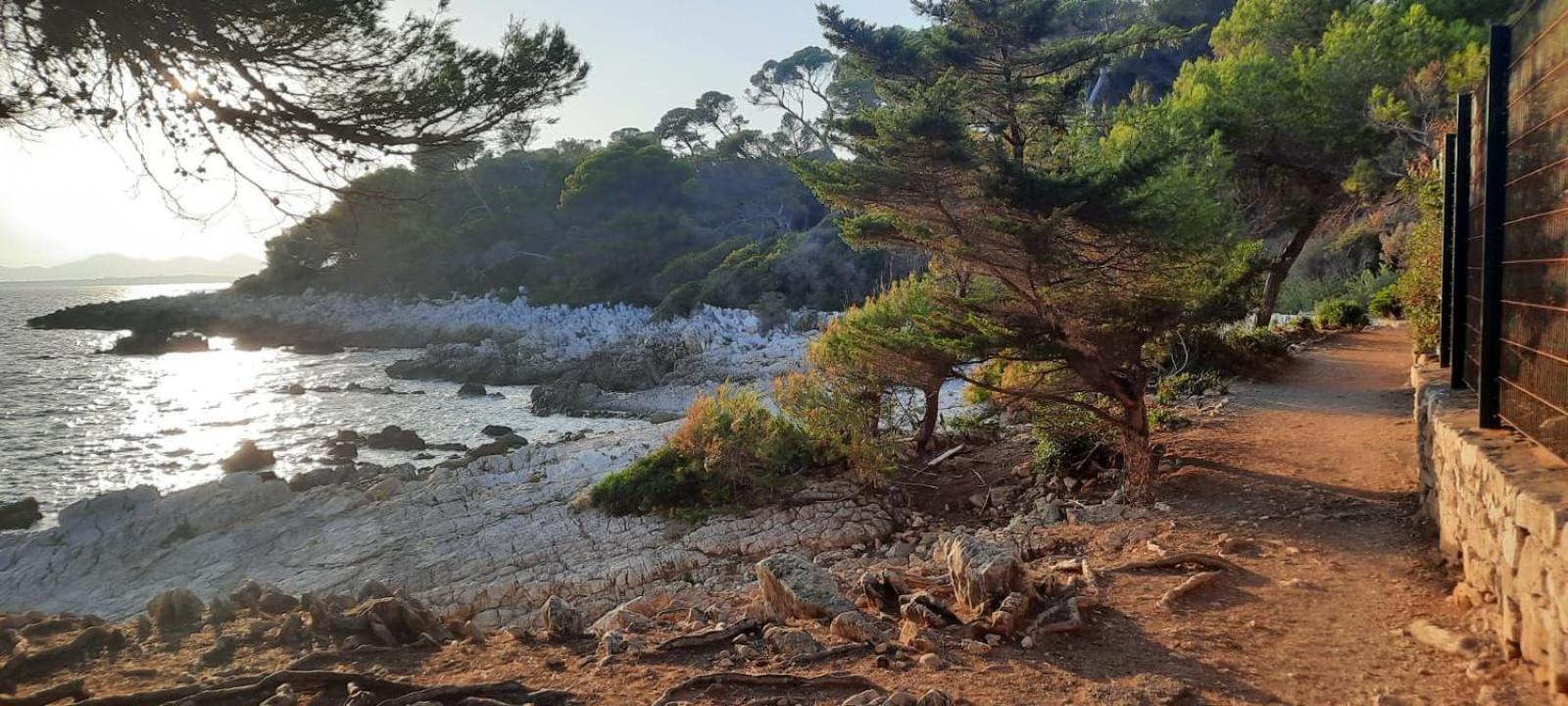 Studio Sun-Beach Avec Parking Et Jardin - 500M Des Plages De Juan Les Pins Antibes Esterno foto