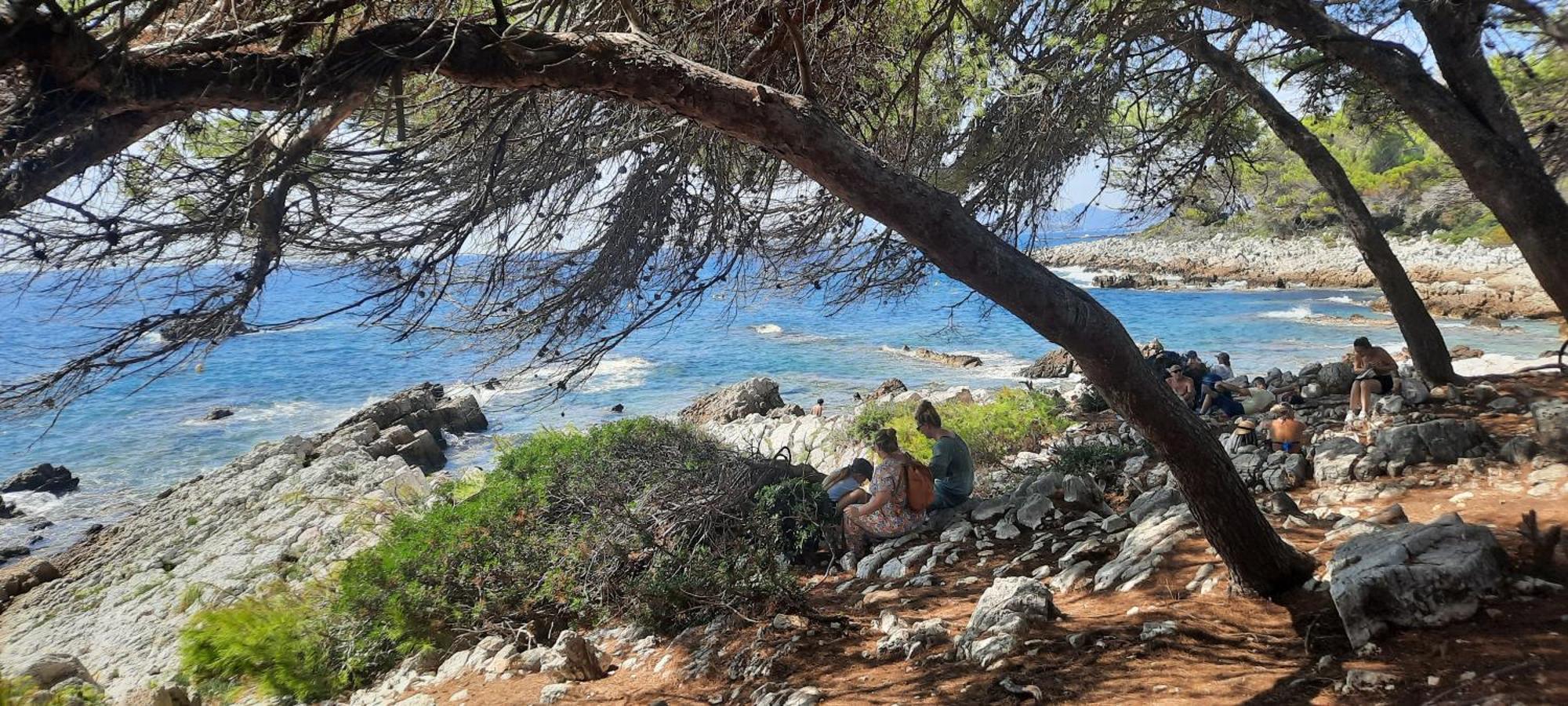 Studio Sun-Beach Avec Parking Et Jardin - 500M Des Plages De Juan Les Pins Antibes Esterno foto